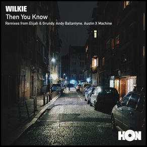 Download track Then You Know (Andy Ballantyne Remix) WilkieAndy Ballantyne