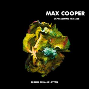 Download track Chaotisch Serie (Echaskech Remix) Max Cooper