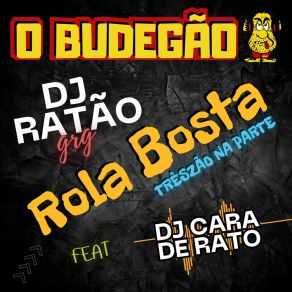 Download track Bonde Do Terremoto (Ao Vivo) DJ RATÃO GRGDJ CARA DE RATO