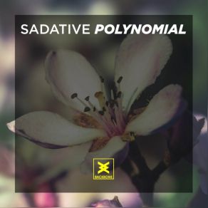 Download track Polynomial Sadative