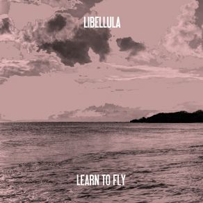 Download track Learn To Fly (Nu Ground Foundation Classic Dub) Libellula