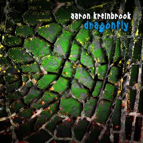 Download track A Time To Embrace Aaron Kreinbrook