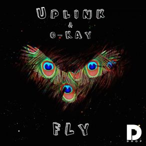 Download track Fly (Extended Mix) Uplink, Philip Strand