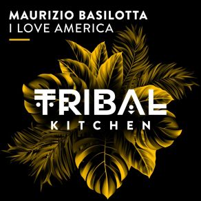 Download track I Love America Maurizio Basilotta