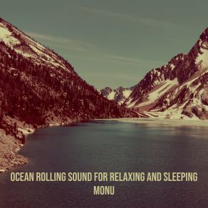 Download track Ocean Rolling Sound, Pt. 22 Monu