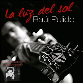 Download track Desapareceré Raúl Pulido