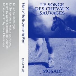 Download track Mosaic Camargue