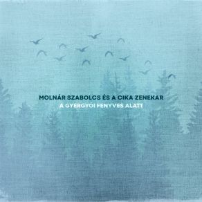 Download track Sárga A Csikó Molnár Szabolcs És A Cika Zenekar