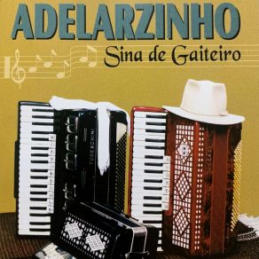 Download track Sina De Gaiteiro Adelarzinho