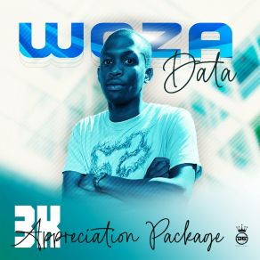 Download track Mission Woza Data