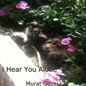 Download track Simden Geri Murat Guzel