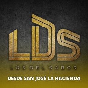 Download track Donde Estuviste Los Del Sabor LDS