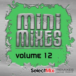 Download track Today's Top Hits Mini Mix # 5 (Select Mix Mini Mix) Select Mix