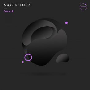 Download track Barracuda (Original Mix) Morris Tellez