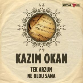 Download track Ne Oldu Sana Kazım Okan