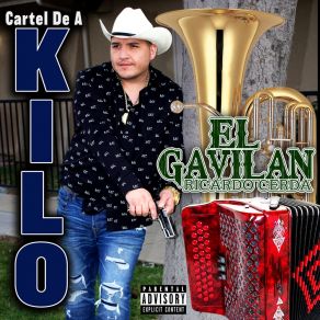 Download track Rancho Rey Pobre Ricardo Cerda 