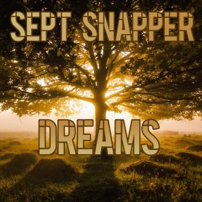 Download track Imaginary Sept Snapper