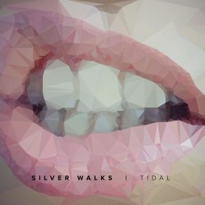 Download track TIDAL (NULL DEVICE REMIX) Silver Walks