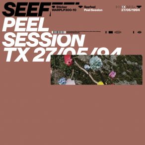 Download track Vex (Peel Session) Seefeel