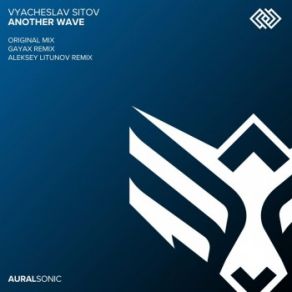 Download track Another Wave (Aleksey Litunov Remix) Vyacheslav Sitov