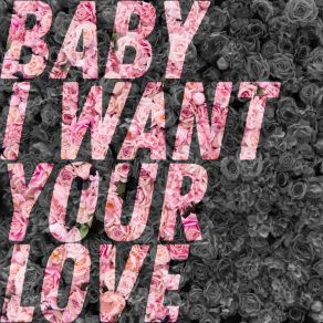 Download track Baby I Want Your Love (CASSIMM Remix - Radio Edit) The AgencyCassimm