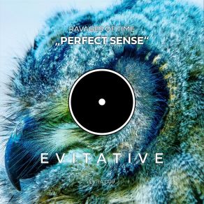 Download track Perfect Sense (Radio Edit) Ravages Of Time