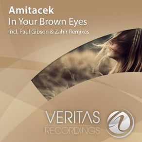 Download track In Your Brown Eyes (Original Mix) Amitacek