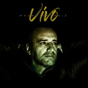 Download track Volverte A Ver Mauro Gorraiz