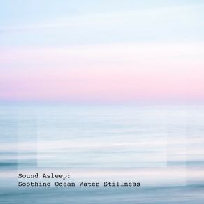 Download track Soothing Ocean Water Stillness, Pt. 7 Elijah Wagner