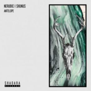 Download track Antelope Shunus, Nerubic