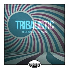 Download track Jump (House Bros Tribe Vocal Mix) Ttb