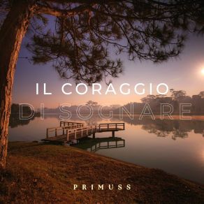 Download track Luce Di Gioia Verso Di Te Primuss