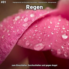 Download track Regen, Pt. 1 Naturgeräusche