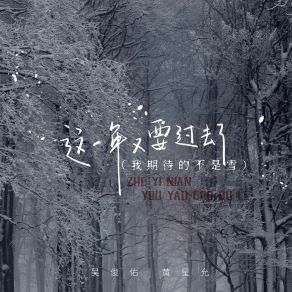 Download track 这一年又要过去了 (我期待的不是雪) 黄星允