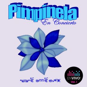 Download track Vivir Sin Ti No Puedo (En Vivo) Pimpinela