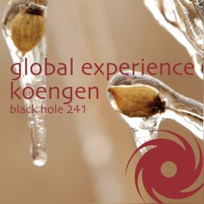 Download track Koengen (DJ Shahs Secundo Vision Radio Edit) Global Experience