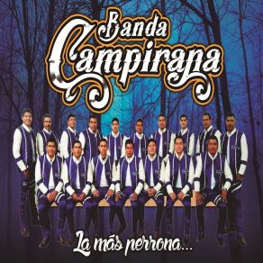 Download track Déjate Amar Banda Campirana