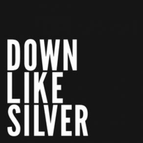 Download track Any Day Down Like Silver