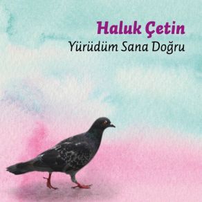 Download track Yrdm Sana Do§ru Haluk Çetin