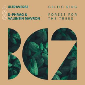 Download track Forest For The Trees Valentin Mavron