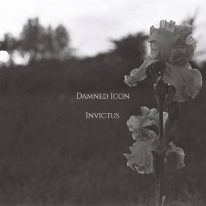 Download track From Pole (Somewhere Cold) Damned Icon