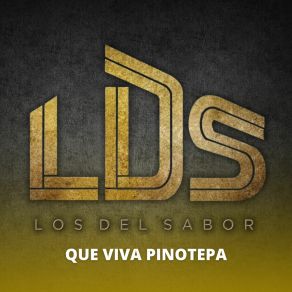 Download track Los Tlacololeros / Son De Victoria / Son De Mi Costa Los Del Sabor LDS