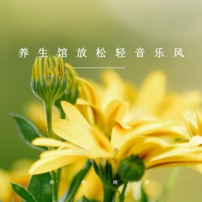 Download track 治愈清心 (优美轻音乐) 治愈纯音