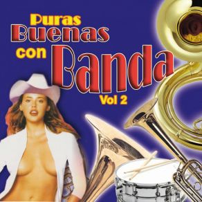 Download track Gabino Y Luciana Banda La Costeña