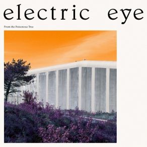 Download track Turn Around, Face The Sun Electric Eye