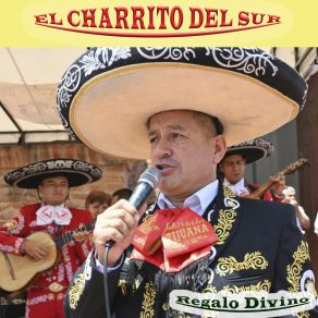 Download track Te Extraño El Charrito Del Sur