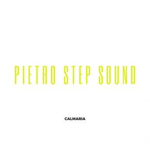 Download track Paz Na Tempestade Pietro Step Sound