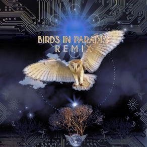 Download track Colibrí Libre (Luke Mandala Remix) The Bird TribeMiranda Rondeau