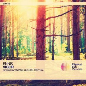 Download track Vigor (Original Mix) Ennis