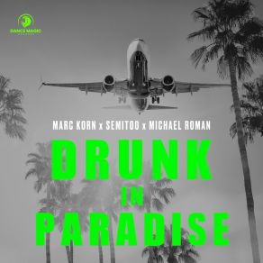 Download track Drunk In Paradise Michael Roman